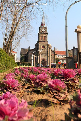 ��̲����