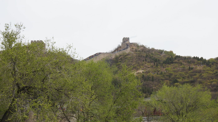 �й��˴��볤��