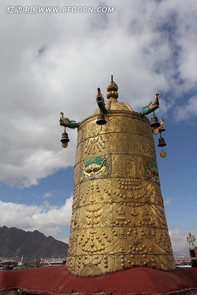 �����½���