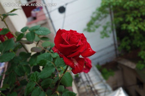 ��̨��ɫ�ʻ�