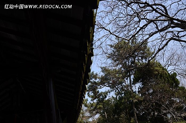 ����µ�����