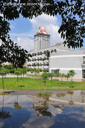 ������ѧ��Ӱ