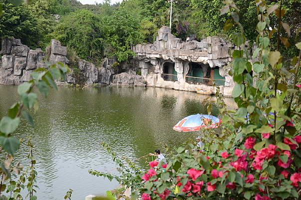 �����컨����