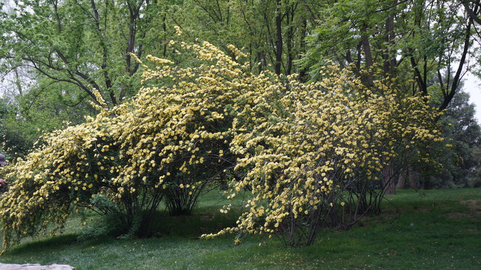 ӭ������