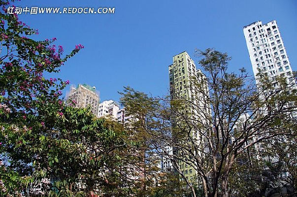 ��۽�������