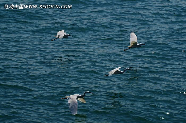 ���ϰ���