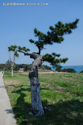 ������·��