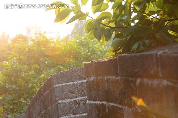 Ϧ���µĳ���