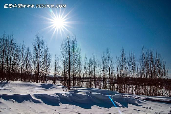 �����µ�ѩԭ