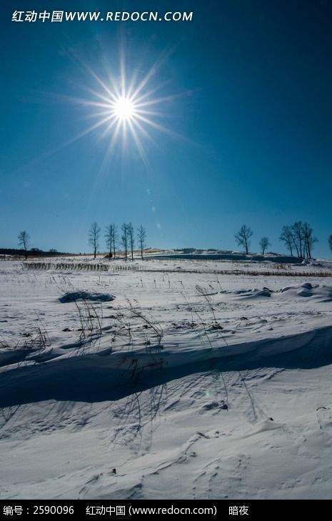 ѩ�����ͼƬ