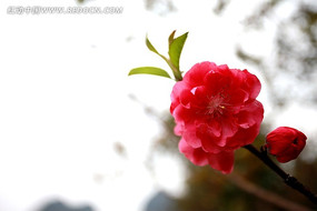 �һ�������