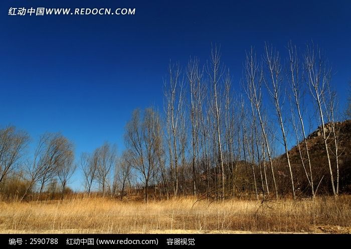 ������ͼƬ