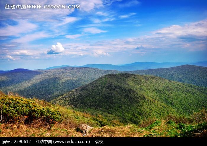 ��������廨ɽ��ҶͼƬ