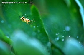 ���л���