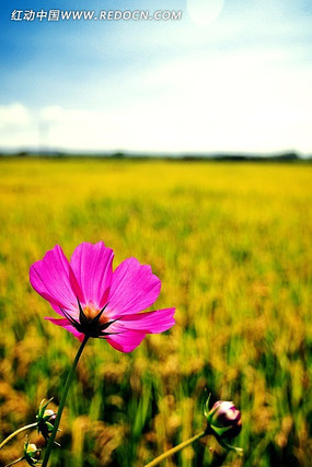 �����µ���