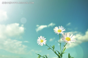 �����µĳ���