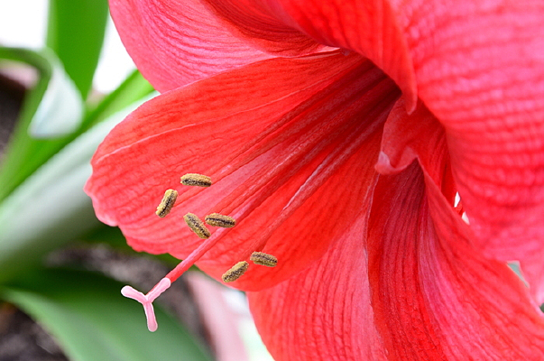 Ư����ɣ��