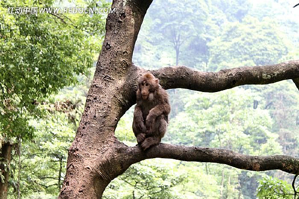 �������ϵĺ���