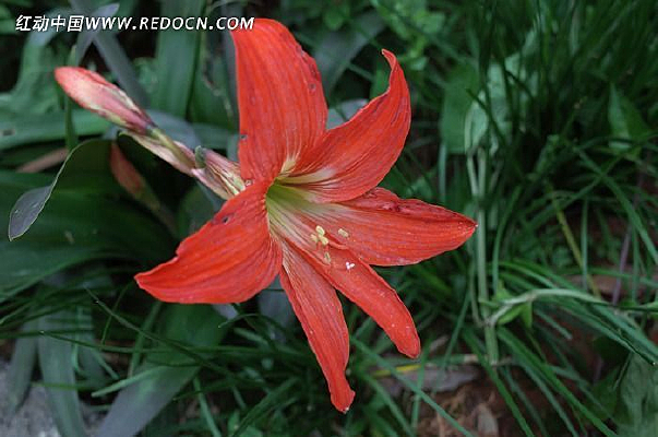 ���ŵ��춥�컨