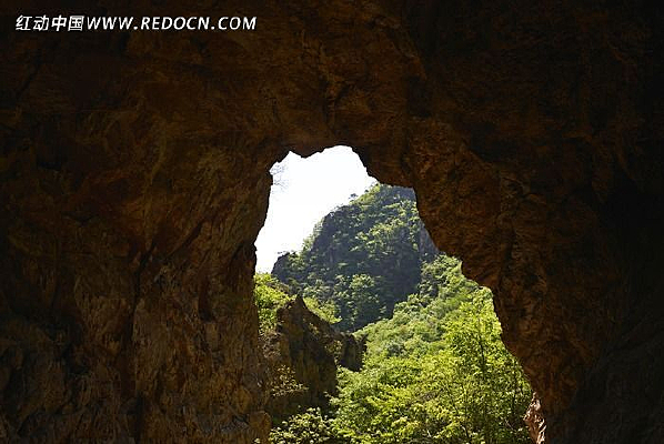 ɽ������