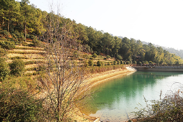 ���������ξ���