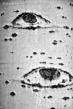 �������۾�