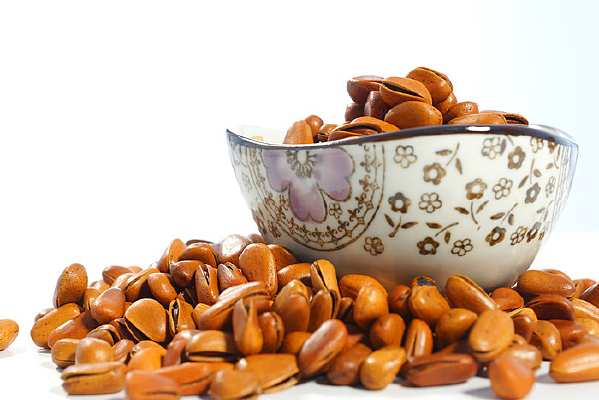 ������ɹ�