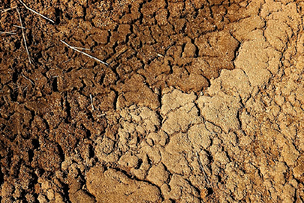 ɳ������