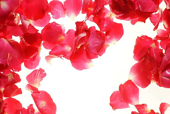 ��ɫ�¼�����