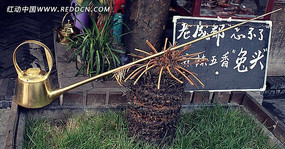 ����ͭ��