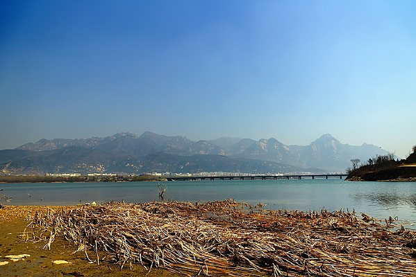 ������̲