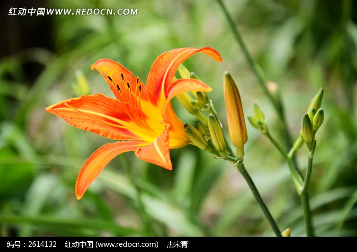 һ�����ǲ�ͼƬ