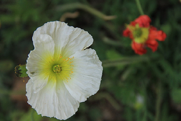 �ʻ���д������