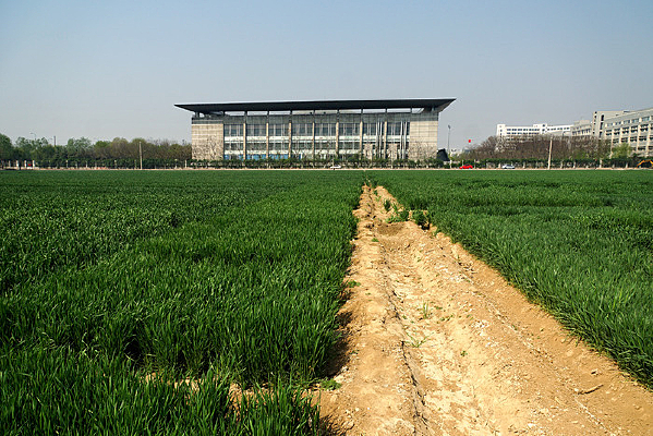 ��ɫ����