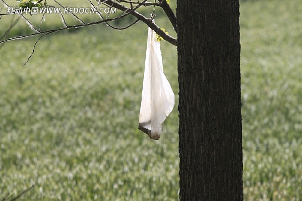 ��ɫ���ϴ�