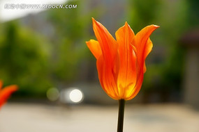 �Ƴ�ɫ������