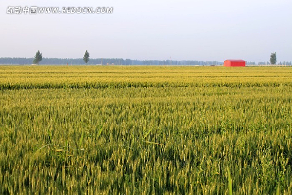 �����еķ���