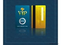 ʯvip
