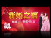 �»�֮�� ���캣�����