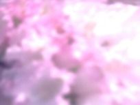 Ƭͷ Ƶ