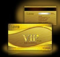 ɫݻߵVIP