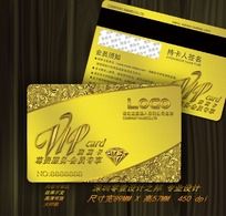 VIPʯ