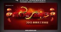 2013��������