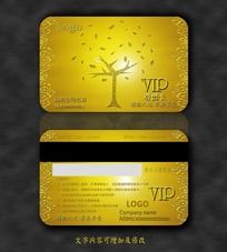ɫVIP