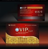 ɫʱнVIP