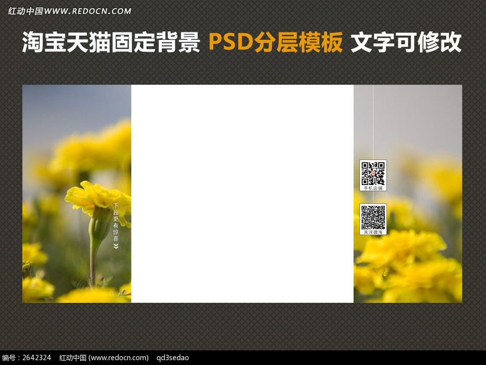 �Ա���è�̶�����