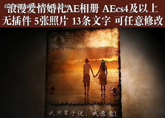 ���صĳ�ŵ�����������AE��� ������ aep