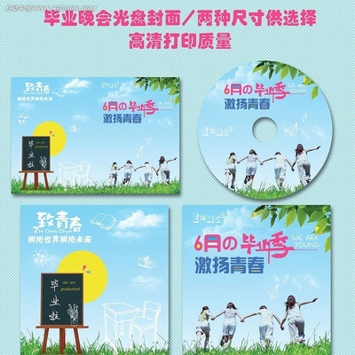 ��ҵ����dvd���̷������ģ�� PSD