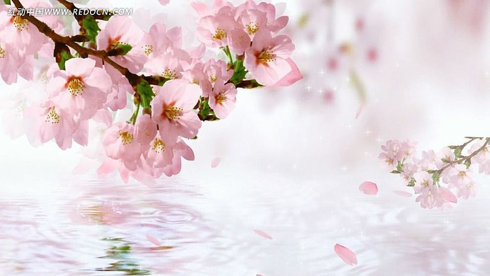 �һ�ӳˮ��Ƶ�ز� mov