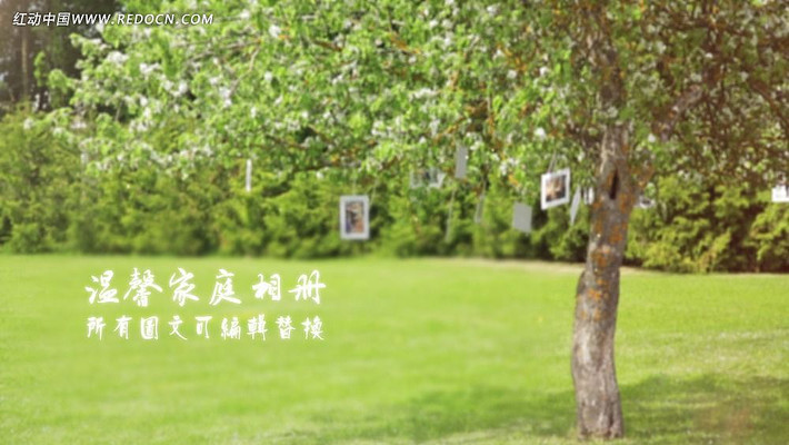 ��ܰ��ͥ���AE��Ƶģ�� aep